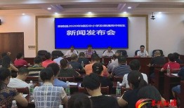 茶陵爆料最新新闻报道,最新突发新闻聚焦，揭秘事件真相